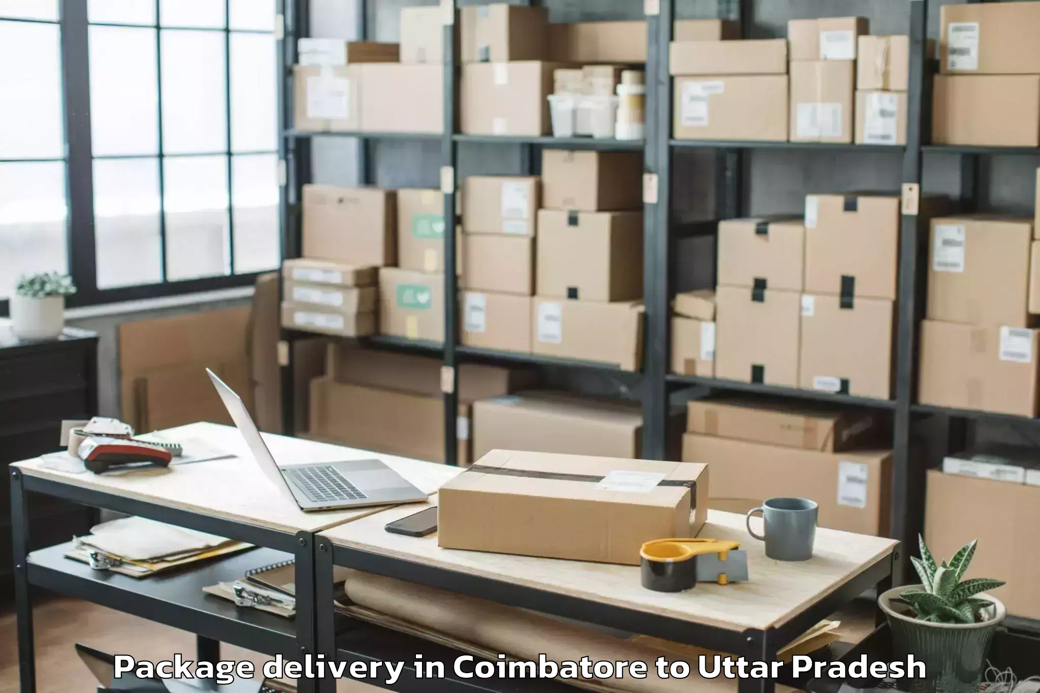 Book Your Coimbatore to Iftm University Moradabad Package Delivery Today